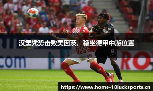 新利体育官网