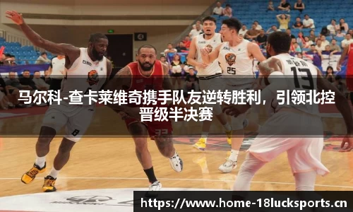 新利体育官网